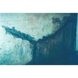 南京百乐建材 专业防水工程材料与安徽防水材料的全面解析